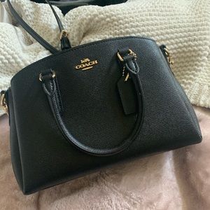 Coach Mini Sage Carryall